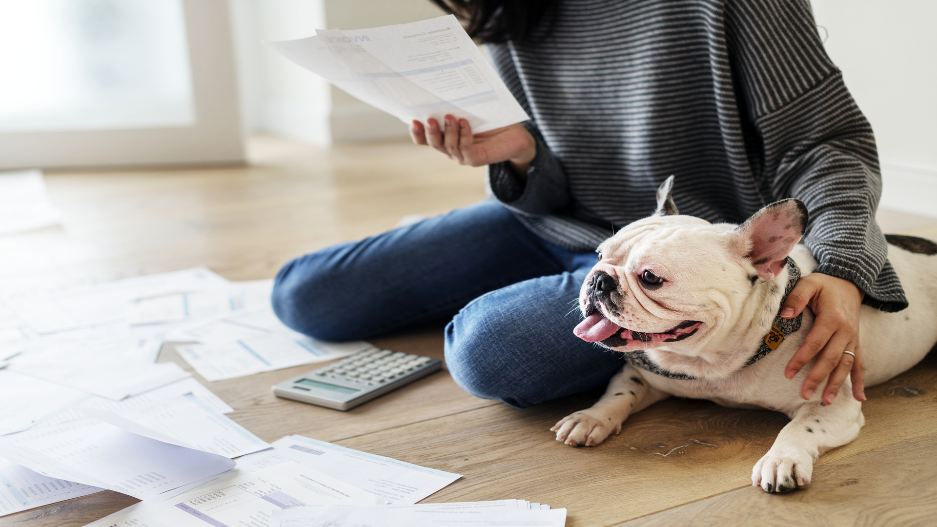 Planilha de gastos com pet: organize-se com as despesas 